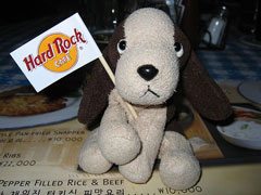 Hard Rock Cafe Seoul