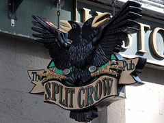Split Crow